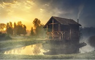 Лучший лес